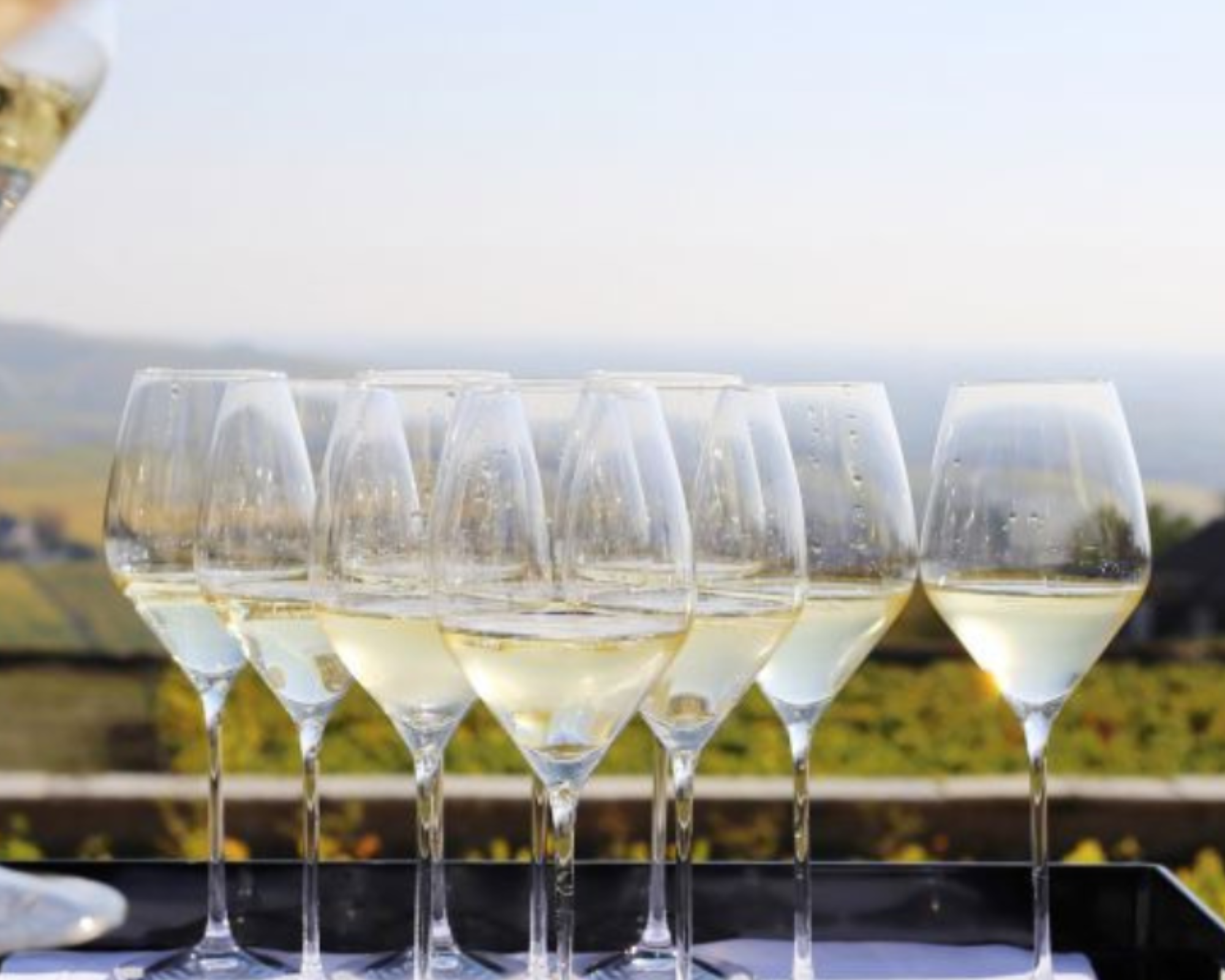 In degustazione bollicine d'eccellenza - Vinòforum 2025