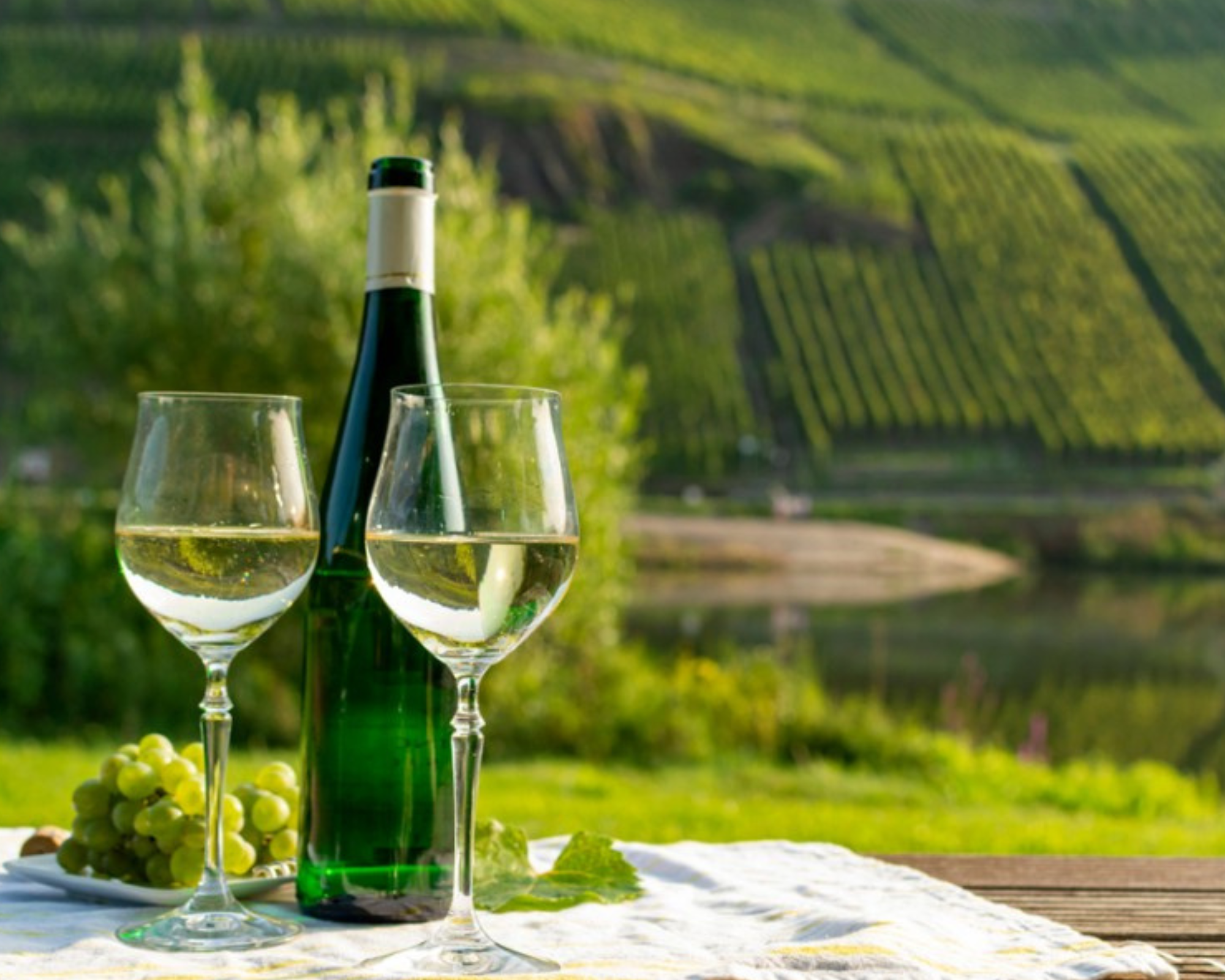 Degustazione Alsazia Vinoforum